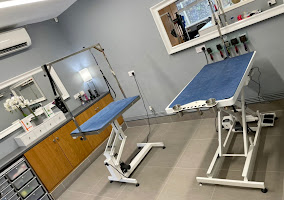 Welsh Grooming Academy training salon