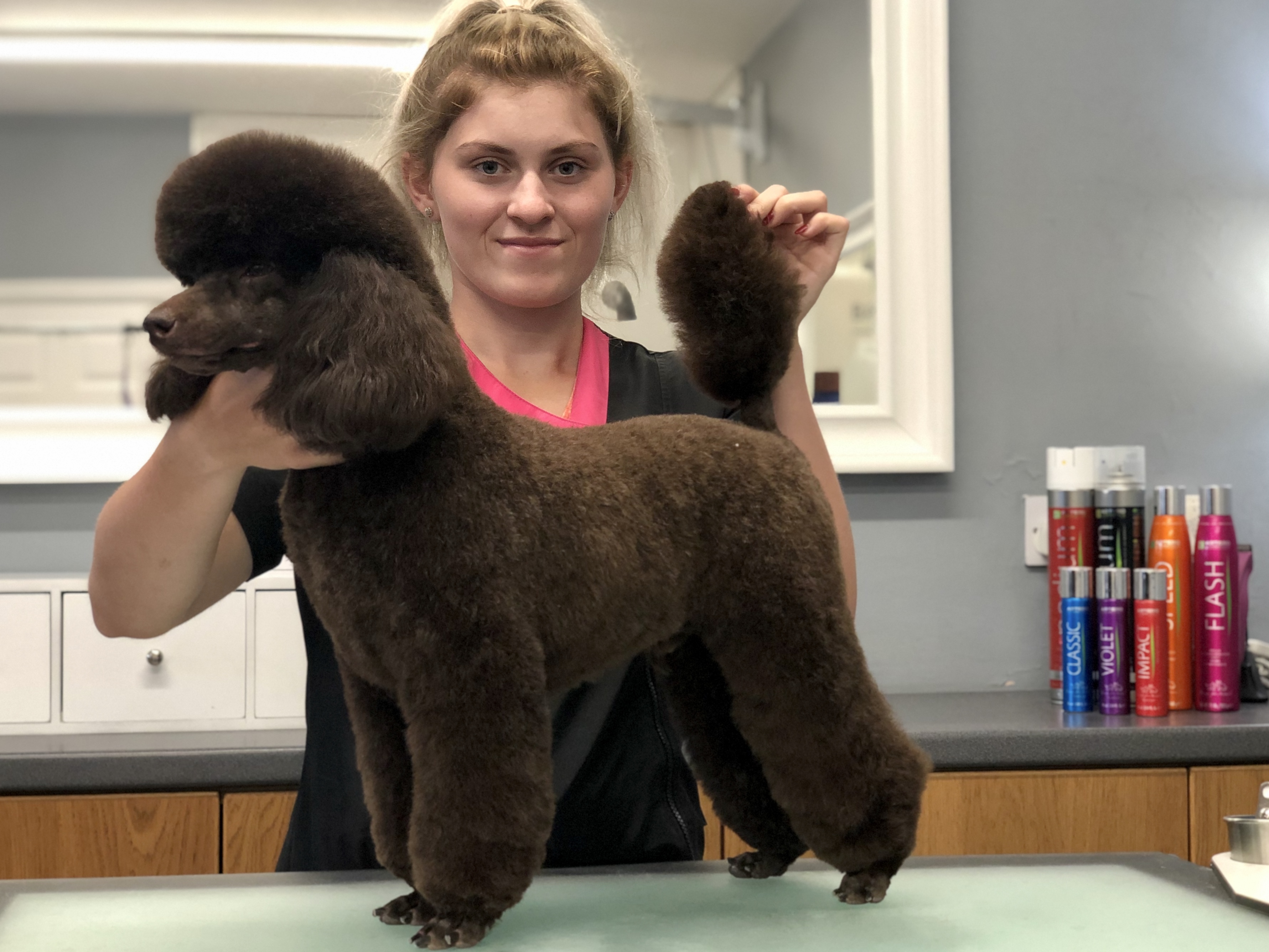 Dog Grooming