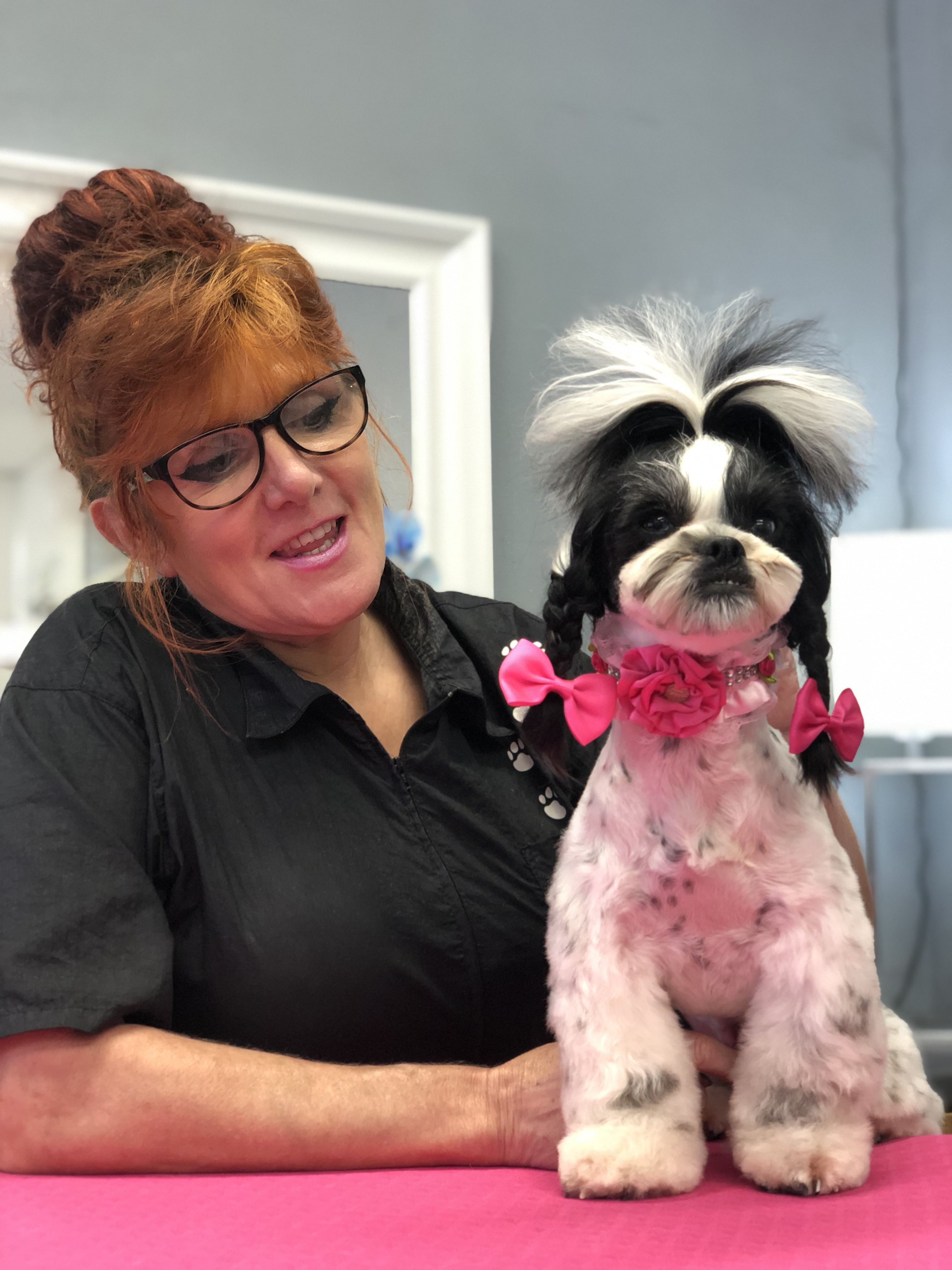 VetSkill Level 3 Canine Dental Care